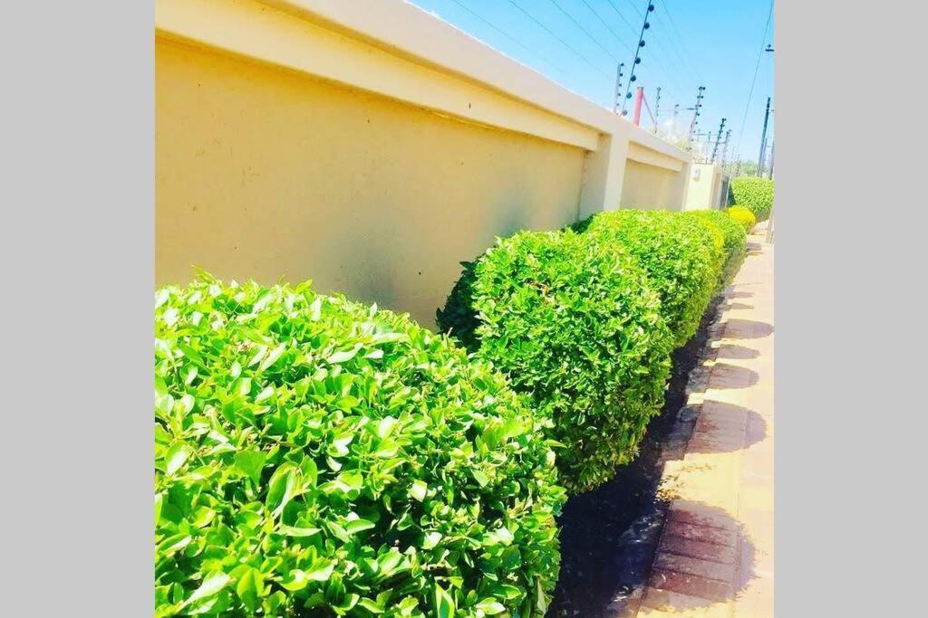 Вилла Olive Exclusive Габороне Экстерьер фото